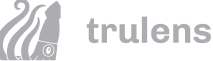 TruLens